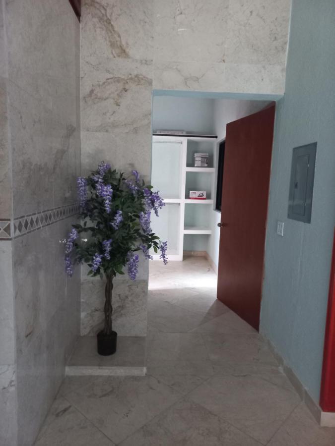 Departamento Tayde Daire San José del Cabo Dış mekan fotoğraf